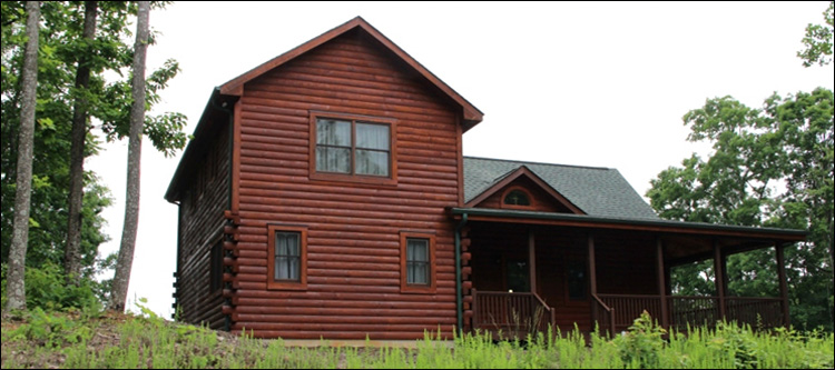 Professional Log Home Borate Application  Henrico County, Virginia